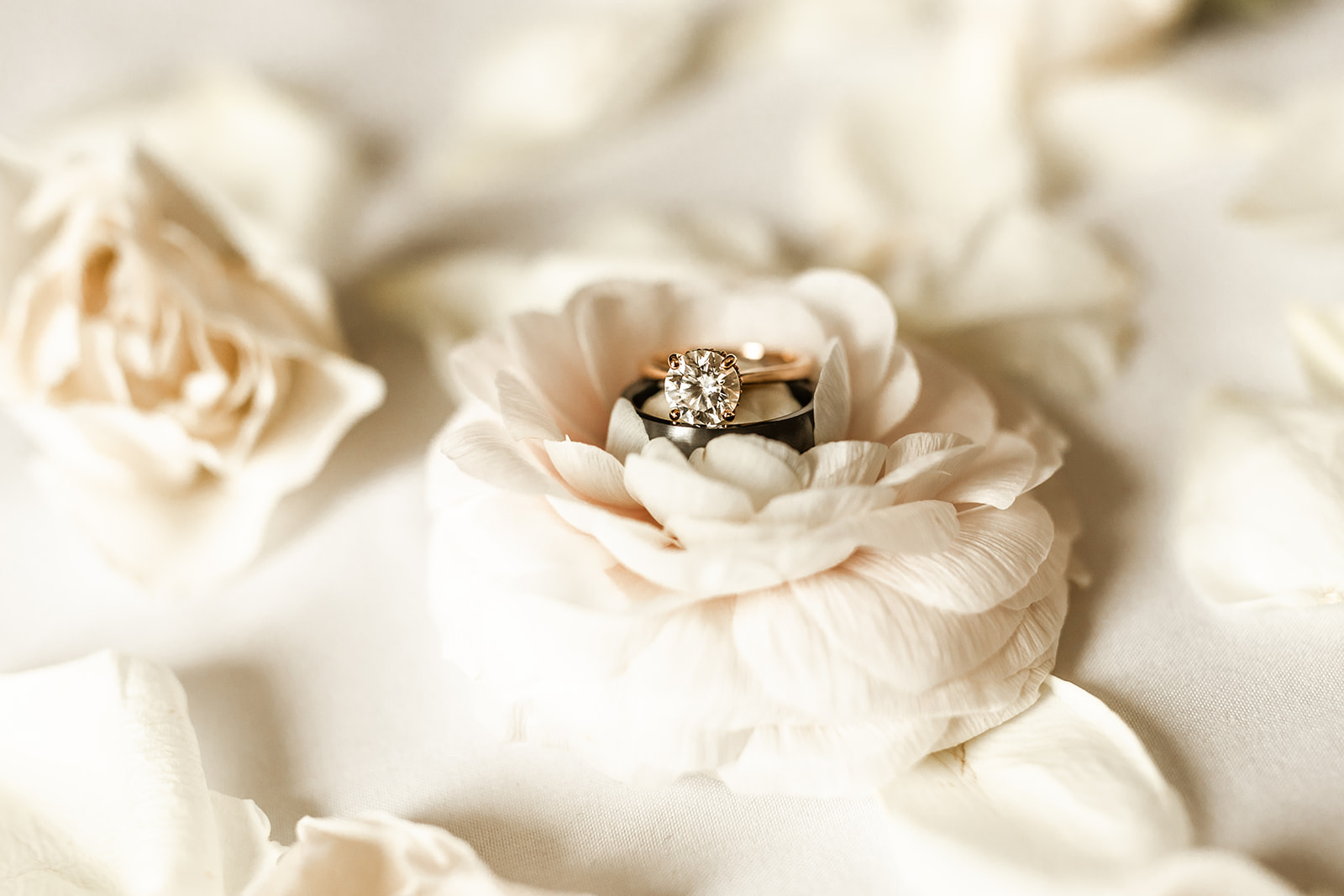 wedding rings sitting in flower