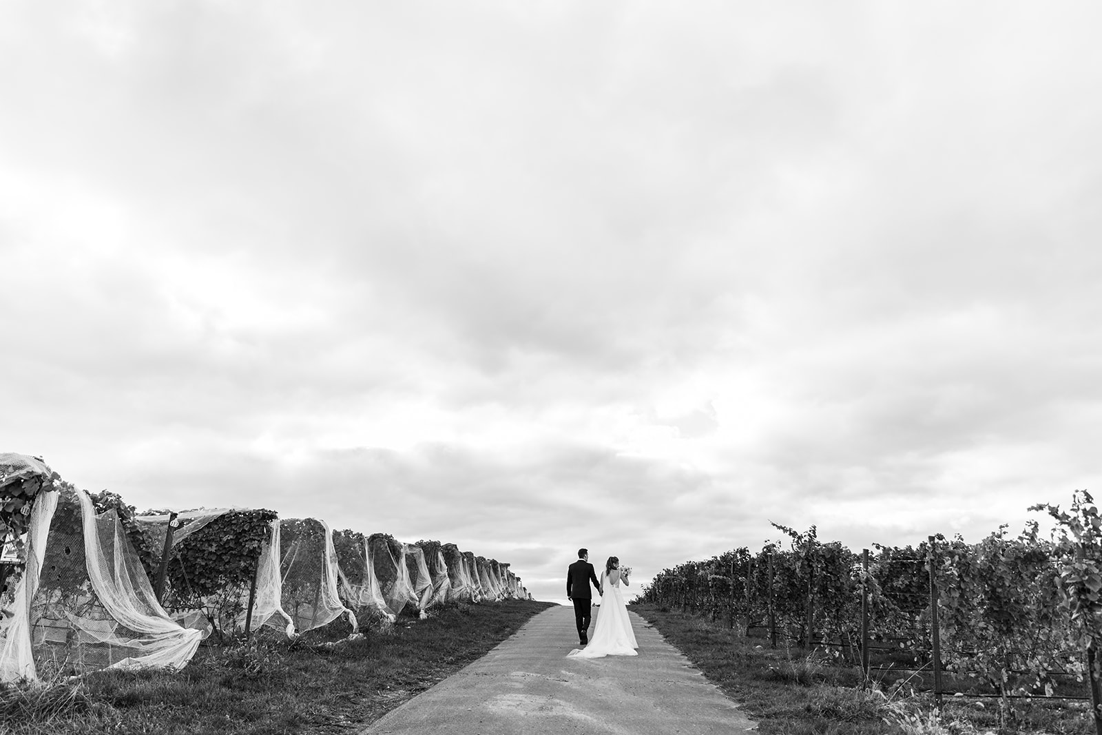 bride and groom walking through vineyard on wedding day