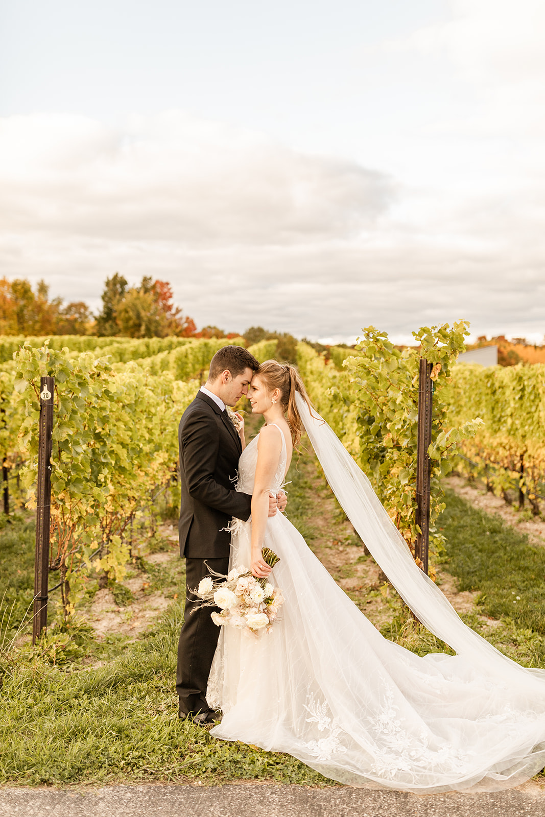 Bride and groom wedding photos in Northern Michigan vineyard elopement
