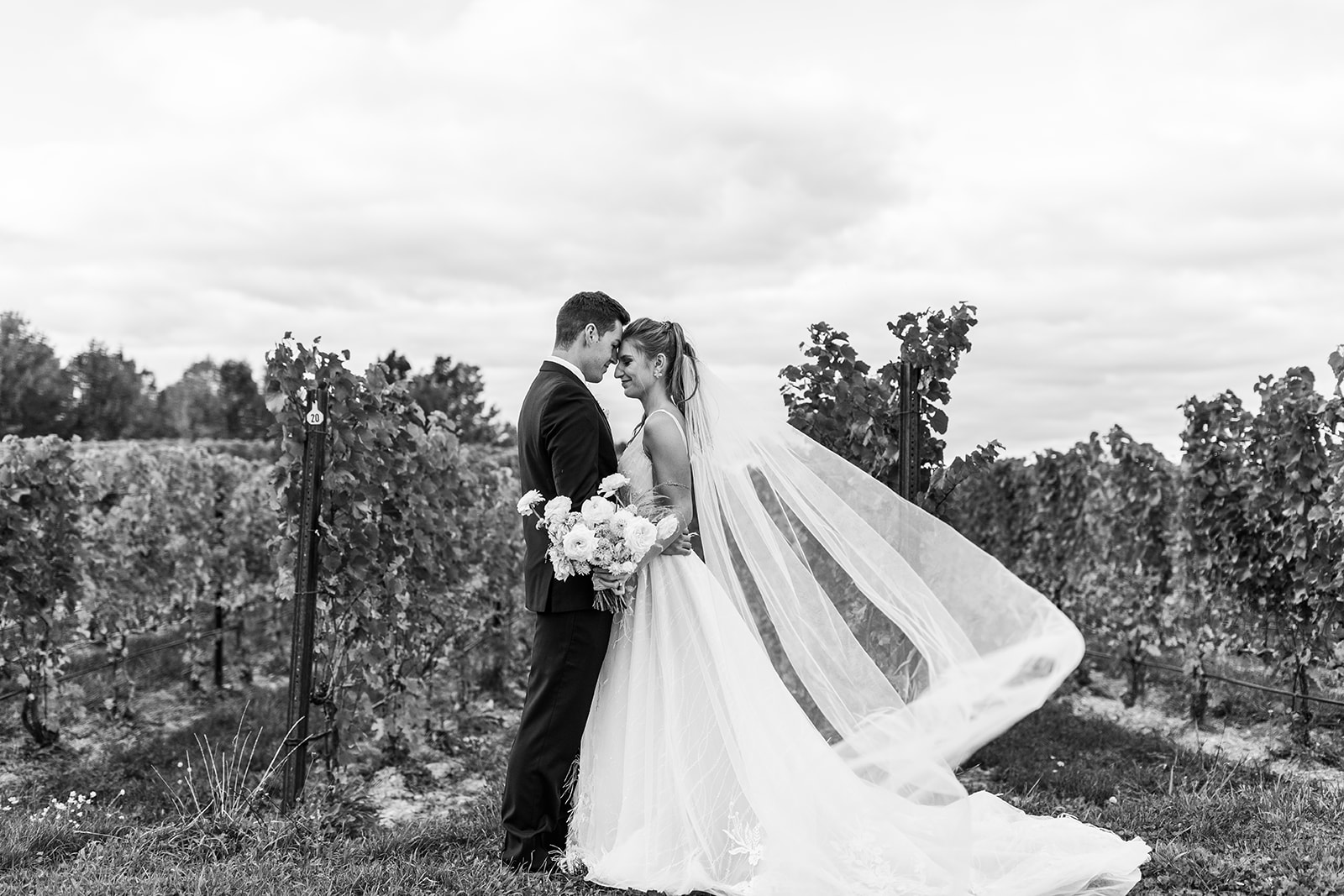 Bride and groom posing in vineyard Michigan