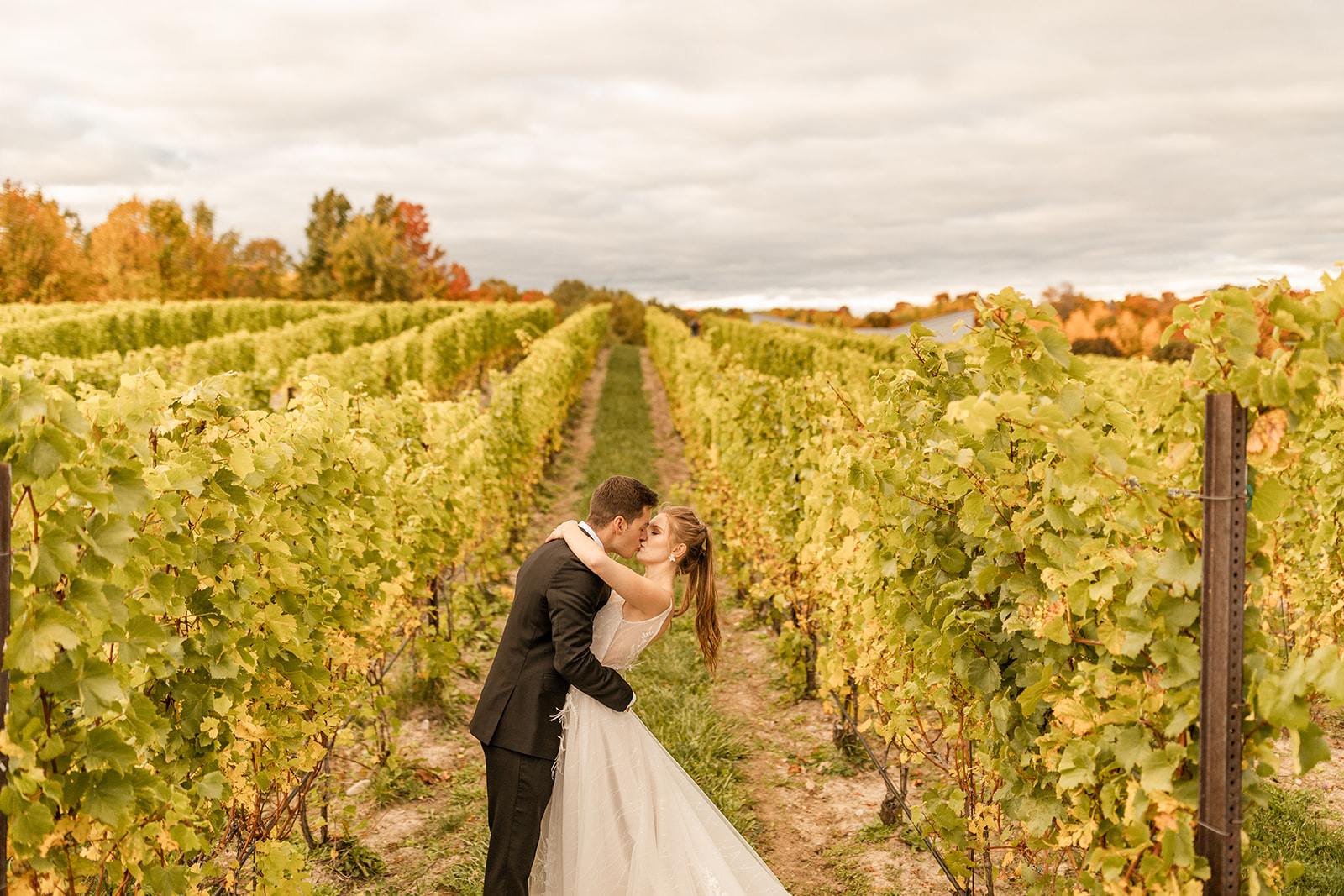 Bride and groom kissing in vineyard Michigan winery wedding