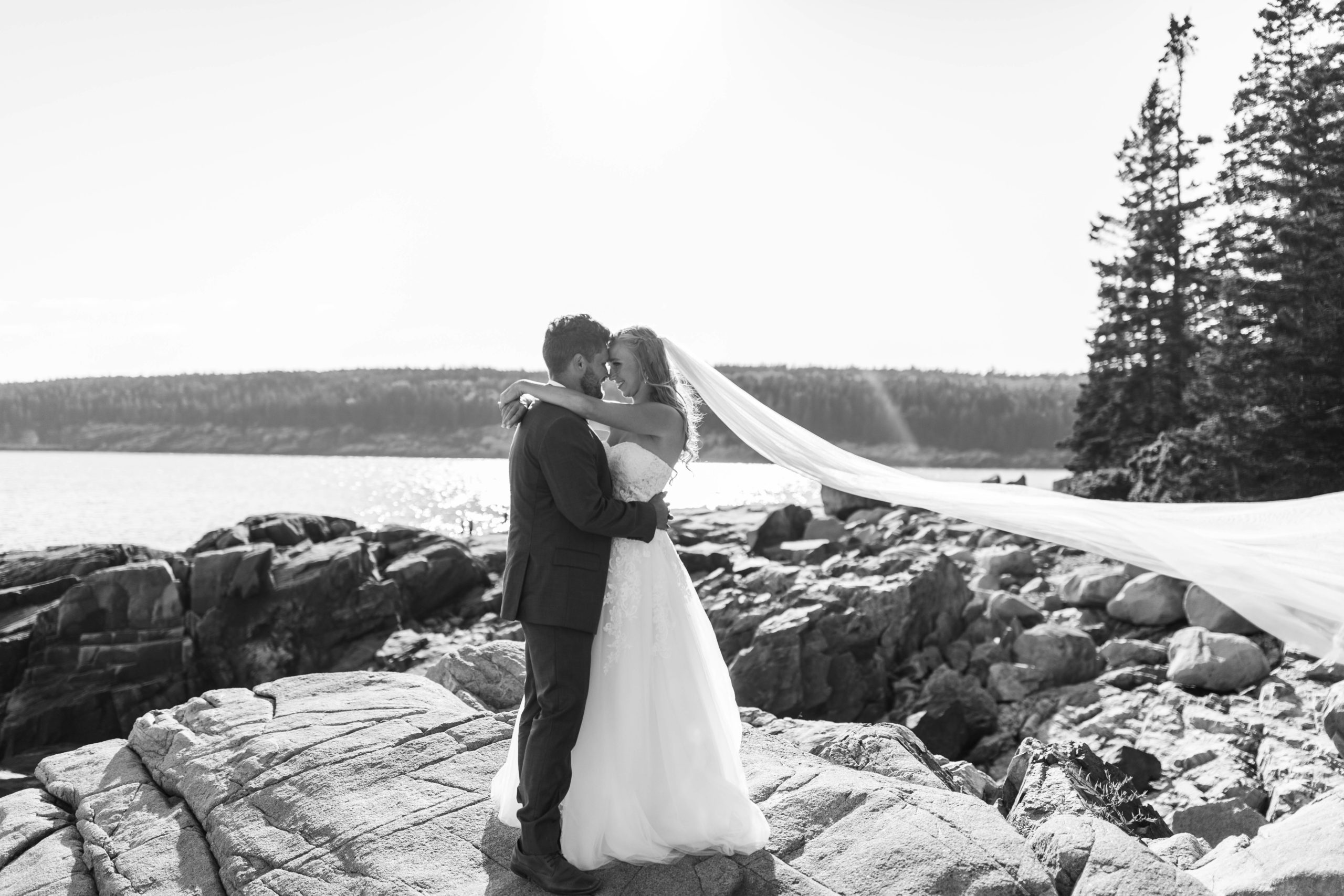 bride with long veil by the ocean at national park elopement