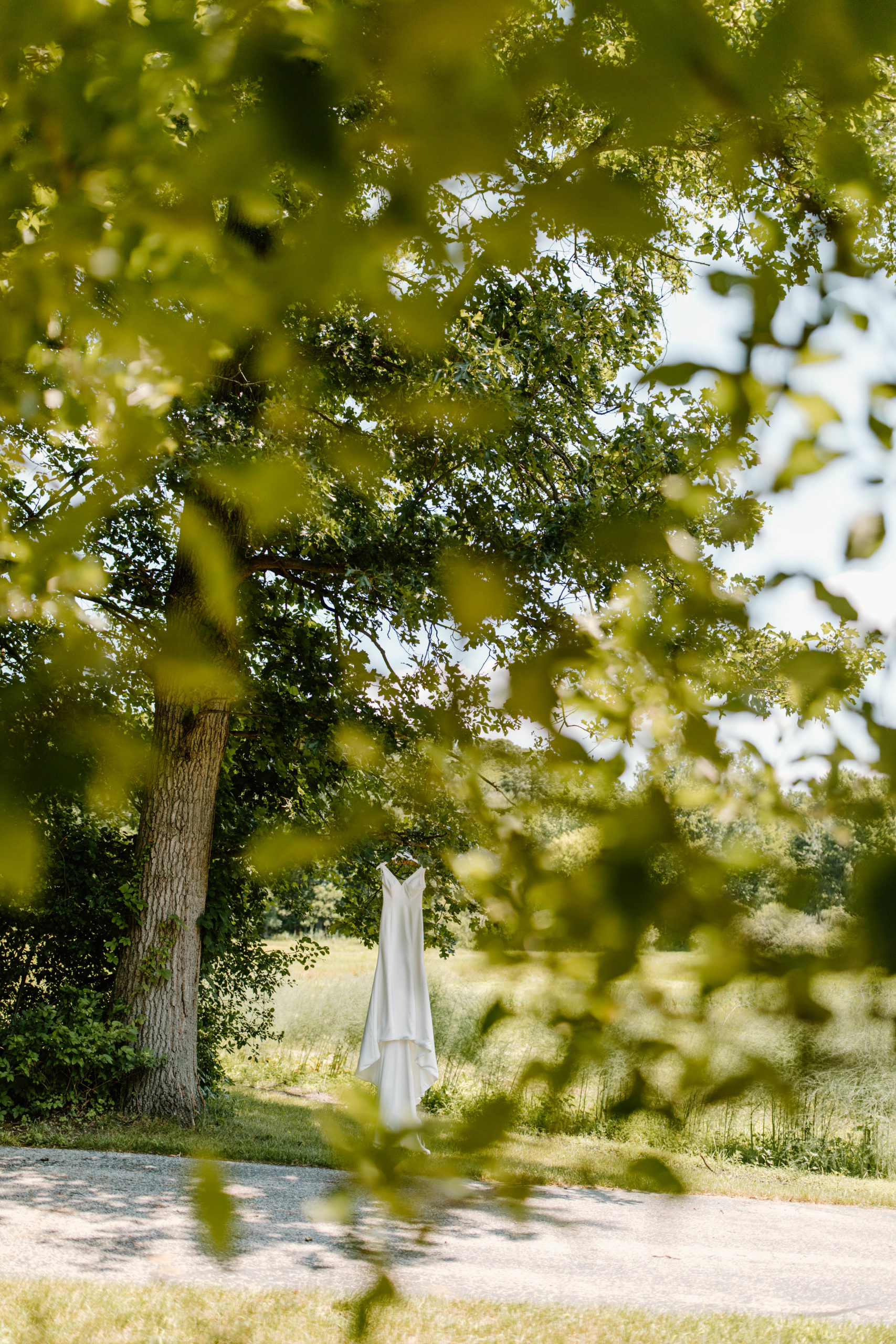 wedding dress hanging from tree in Michigan