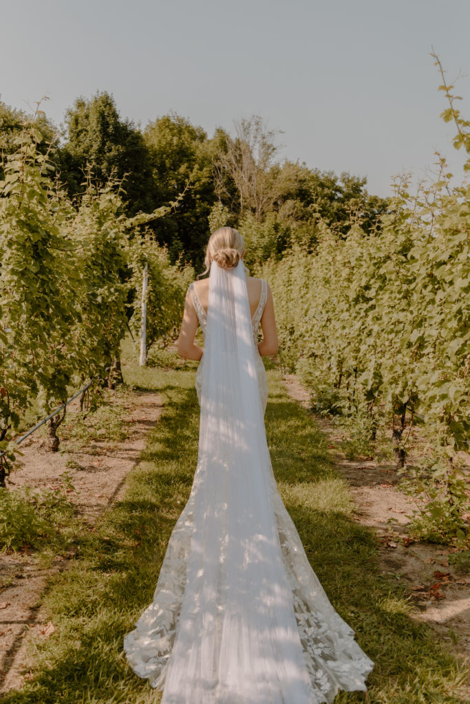 Winery Wedding Ceremony Aisle Bride Wedding Dress Long Trail and Veil Made With Love